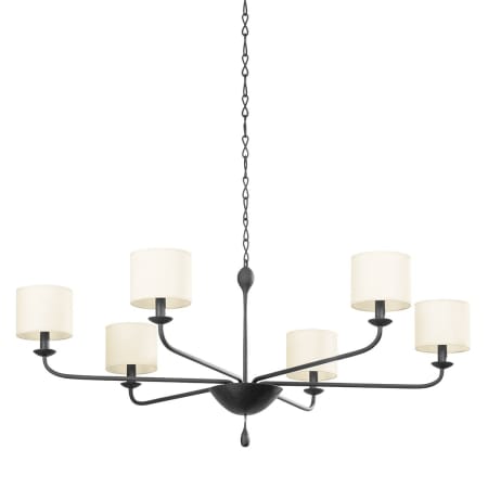 A large image of the Troy Lighting F9750 Black Iron