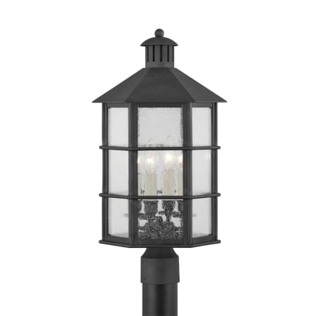 A large image of the Troy Lighting P2522 French Iron