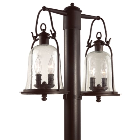A large image of the Troy Lighting P9464 Natural Bronze