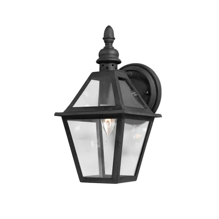 A large image of the Troy Lighting B9620 Textured Black