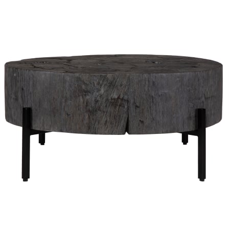 A large image of the Uttermost 24462 Rustic Black