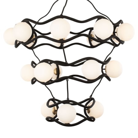 A large image of the Varaluz 374C18 Carbon