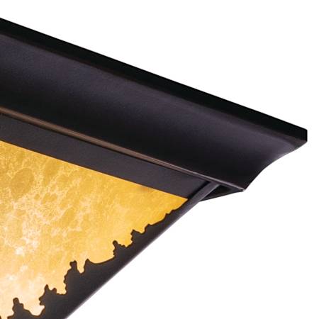 A large image of the Vaxcel Lighting CC55414 Alternate Image