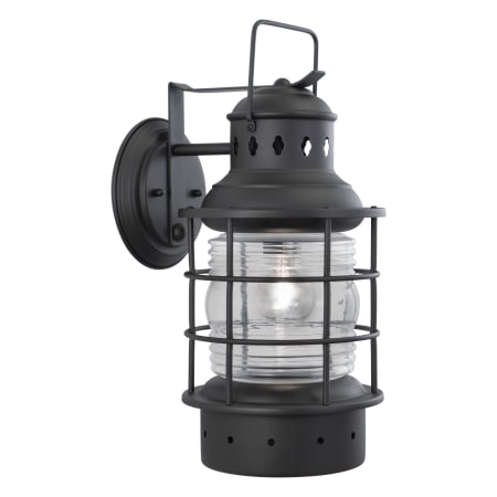 A large image of the Vaxcel Lighting OW37081 Textured Black