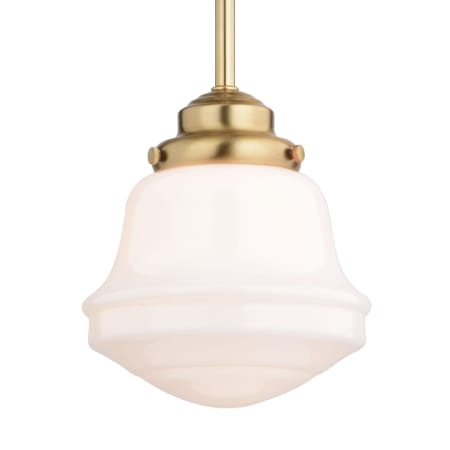 A large image of the Vaxcel Lighting P0402 Natural Brass