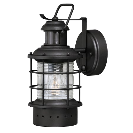 A large image of the Vaxcel Lighting T0254 Textured Black
