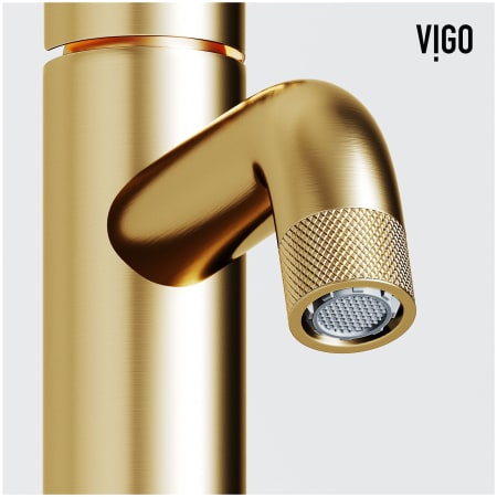 A large image of the Vigo VG01046 Alternate Image