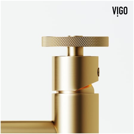 A large image of the Vigo VG01046K1 Alternate Image
