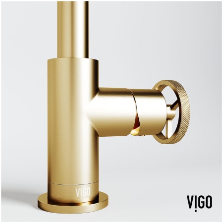 A large image of the Vigo VG01047 Alternate Image