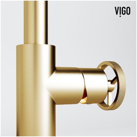 A large image of the Vigo VG01047K1 Alternate Image