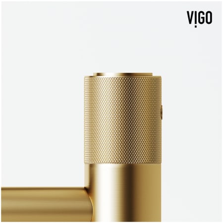A large image of the Vigo VG01048 Alternate Image