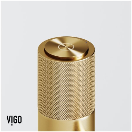 A large image of the Vigo VG01048 Alternate Image