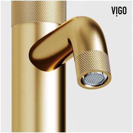 A large image of the Vigo VG01048K1 Alternate Image