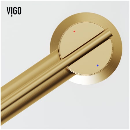 A large image of the Vigo VG01049 Alternate Image