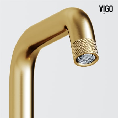 A large image of the Vigo VG01051 Alternate Image
