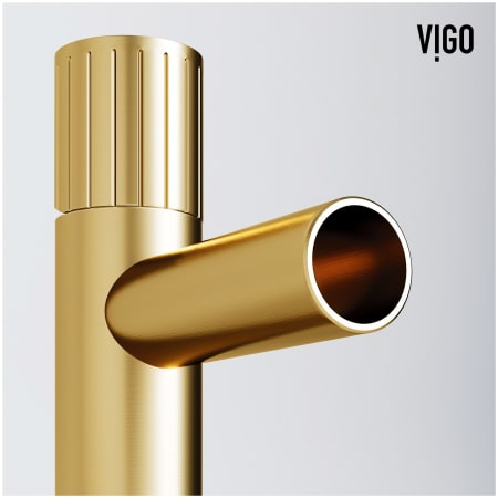 A large image of the Vigo VG01052 Alternate Image