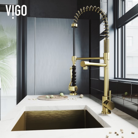 A large image of the Vigo VG02007 Alternate View