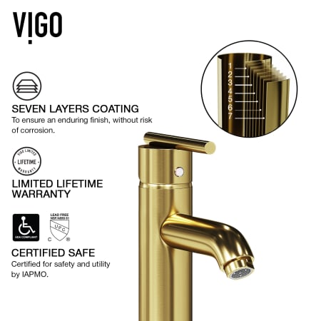 A large image of the Vigo VG03009 Alternate View