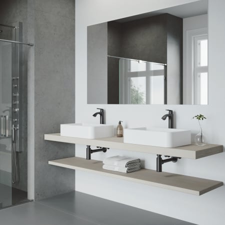 A large image of the Vigo VG03013 Dual Sink View