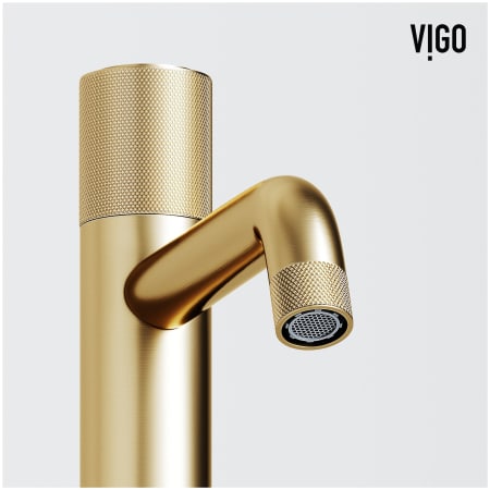 A large image of the Vigo VG03031 Alternate Image