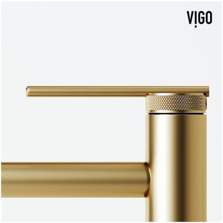 A large image of the Vigo VG03032 Alternate Image