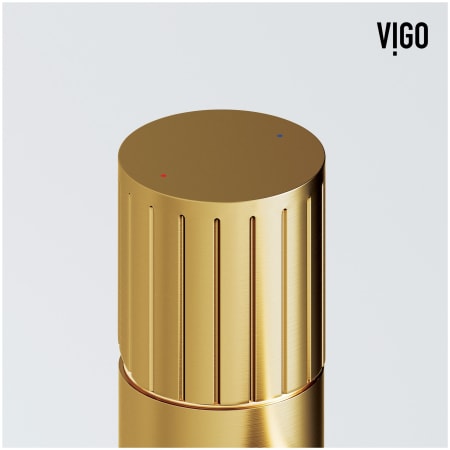 A large image of the Vigo VG03034 Alternate Image