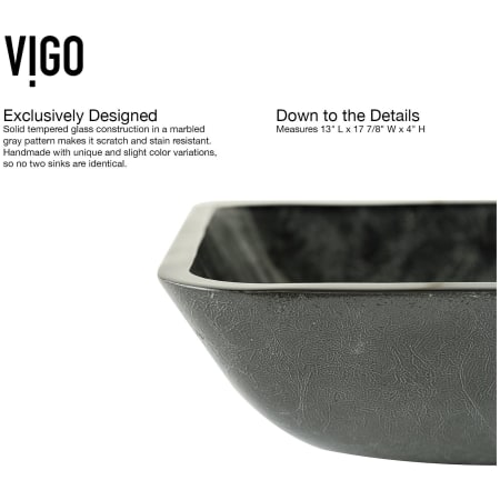 A large image of the Vigo VGT1701 Alternate Image