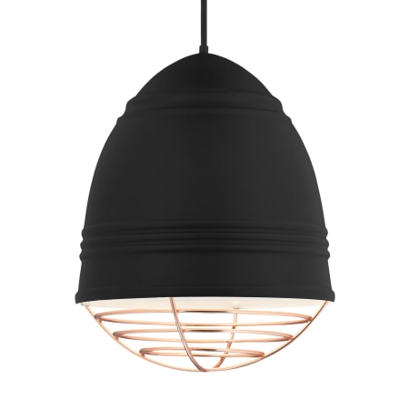 A large image of the Visual Comfort 700TDLOFGP-LED927 Rubberized Black w/ Copper Cage
