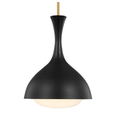 A large image of the Visual Comfort AEP1011 Burnished Brass / Midnight Black