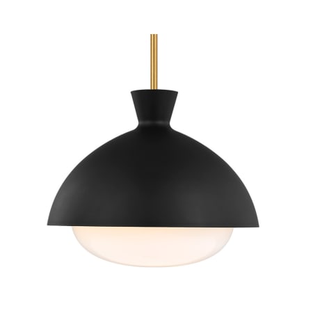 A large image of the Visual Comfort AEP1031 Burnished Brass / Midnight Black