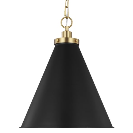 A large image of the Visual Comfort CP1271 Midnight Black / Burnished Brass