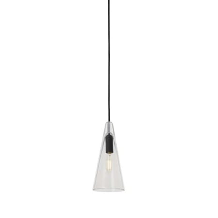 A large image of the Visual Comfort SLPD281C-L Nightshade Black