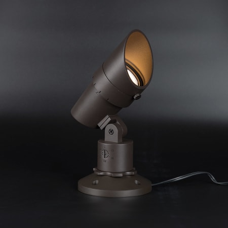 A large image of the WAC Lighting 5011 Alternate Angle