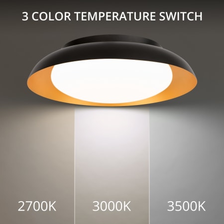 A large image of the WAC Lighting FM-49118 Alternate Image