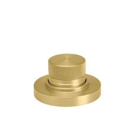 A large image of the Waterstone 9010 Satin Brass