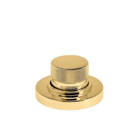 A large image of the Waterstone 9010 Unlacquered Polished Brass