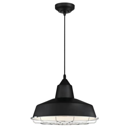 Westinghouse 6104900 Black Academy Single Light 16\