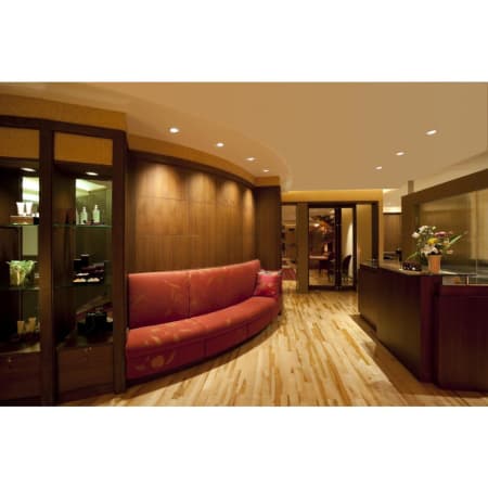 A large image of the Westinghouse 4515400 Commercial View