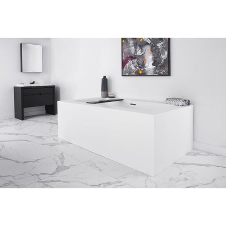 A large image of the WETSTYLE BC0101-NT-COP Alternate Image