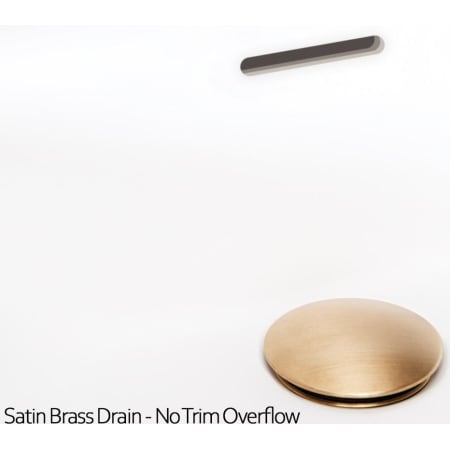 A large image of the WETSTYLE BC0101-NT-COP Alternate Image