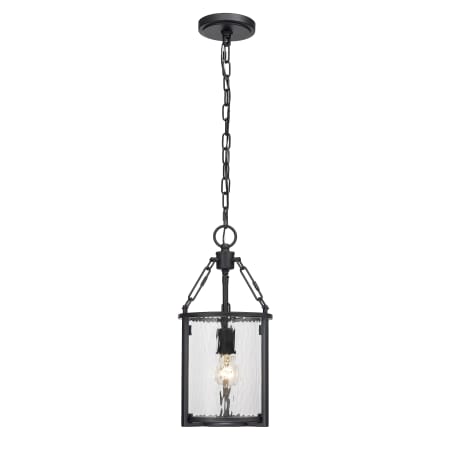 【12月スーパーSALE 15%OFF】 Matte 346P8-MB Z-Lite Black 9 Barrington 洗顔料