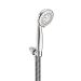 Moen 23041 Chrome Multi-Function Hand Shower Package with Hose Included ...