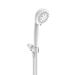 Moen 23041 Chrome Multi-Function Hand Shower Package with Hose Included ...