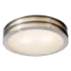 A thumbnail of the Access Lighting 50131-LED Brushed Steel / Frosted