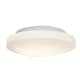 A thumbnail of the Access Lighting 50160-LED White / Opal