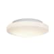 A thumbnail of the Access Lighting 50160LEDDLP White / Opal