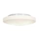 A thumbnail of the Access Lighting 50161-LED White / Opal