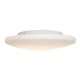A thumbnail of the Access Lighting 50162LEDDLP White / Opal