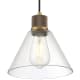 A thumbnail of the Access Lighting 63140LEDDLP/CLR Antique Brushed Brass