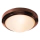 A thumbnail of the Access Lighting 20355-CFL Bronze / Frosted
